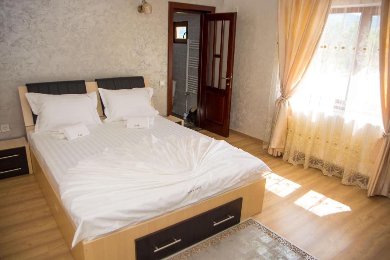 Hotel Casa Alex Si Alexia Jiblea Veche Exteriér fotografie